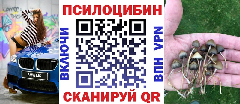 Псилоцибиновые грибы Psilocybine cubensis  Сасово 